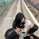원동달팽이