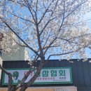 상남1길 이미지