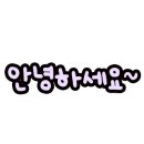 포인사이트