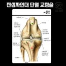 삼화 우수한 동물병원 이미지