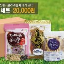 영어조합법인 해맑은 화진포 이미지