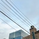 누구나홀딱반한닭화성반월헤센IT 이미지