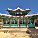 은행나무시장 이미지