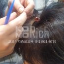 코모리치 보령센터