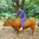 오가원농장 이미지