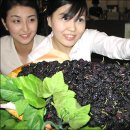 오디가개 이미지