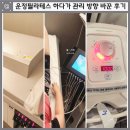 쥬비스다이어트 일산점 | 운정필라테스 하다가 쥬비스 일산점으로 관리 방향 바꾼 후기