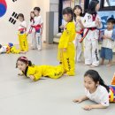 비송태권도 이미지