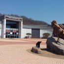 고랑포구 이미지