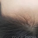 지성헤어라인