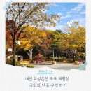 한진힐링사우나 | 대전 유성온천 족욕 체험장 국화와 단풍 구경 하기