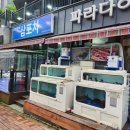 엑스포 삼포차 네이버블로그