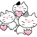 위키어린이집 이미지