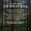 치매안심센터 후문 이미지