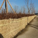 광역코스 이미지