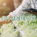 삼정팜 네이버블로그