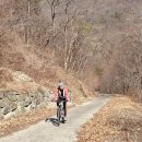 태풍급 임도 35km MTB 타기 -2/21 이미지