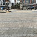 멍멍아 산책가자 이미지