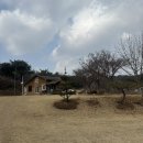 명당2길 | 당진 캠핑장 진경원캠핑장 명당 6번 촌캉스 감성 잔디 캠핑장 후기