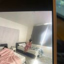 자두자두자