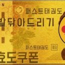 감일퍼스트 태권도 이미지