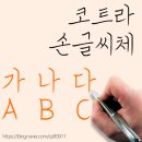 G0143 이미지