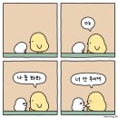 나너주리