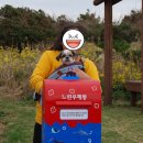 화산켄넬 | [제주도일주일살기5일차] 하늘이랑 최남단 바람의 섬 마라도 여행후기 애견동반여행