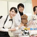 디비에스 주식회사 이미지