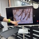 럭키베스트빌 | 율전동미용실 이씨바버샵 모발생장술 관리후기