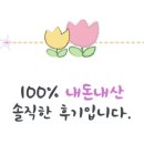 감꽃펜션