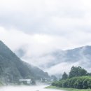 상동읍 대리골 입구(상동읍-20) | [2025] 영월 상동 이끼계곡 : 여름에만 찍을 수 있는 사진, 8월 출사지는 여기 한 번 다녀오세요!