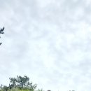 남해-231 이미지