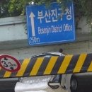 부산진구청 이미지