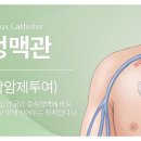 서울대학교 보건대학원 이미지
