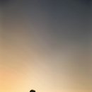 루이스튜디오
