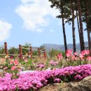 지리산생태체험단지 이미지