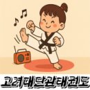 고려대단관태권도 이미지