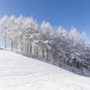 선곡목장 이미지