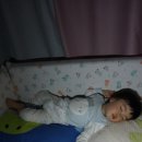 부베베 이미지