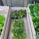 진주팜농약 이미지