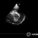 더바른 동물병원 이미지