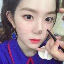 아이린 카카오 검색결과