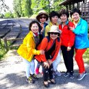 대왕농장2 이미지