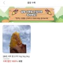 영민약국 | 251201~251231 +🏕️