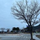 온천과 함께하는 솔바람길 이미지