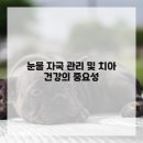 댕댕이의 하루 이미지