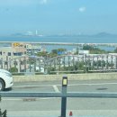 바다 칼국수 이미지