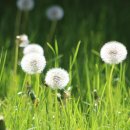 연세봄날에산부인과의원 이미지