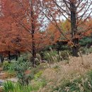 으뜸요양원 | 전주&amp; 익산 여행 후기